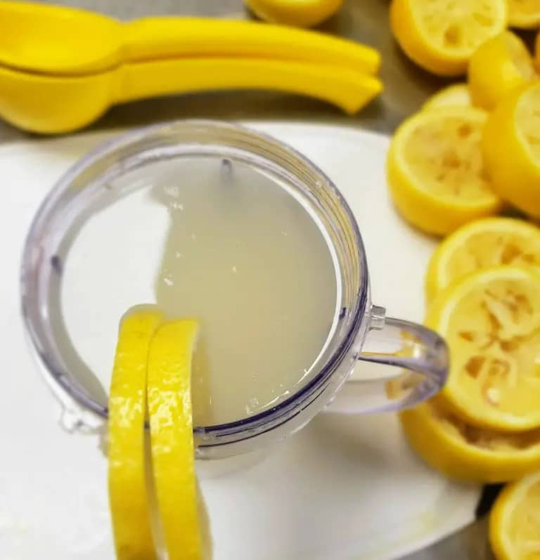 Sugar-Free Healthy Lemonade